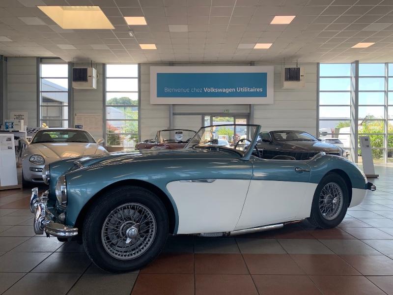 AUSTIN HEALEY 3000 MK1 BT7